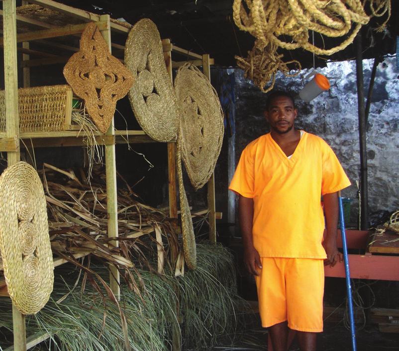 Inmate Pollard with vetiver grass items He is now a trainer in the programme Vetiver grass is a plentiful and renewable resource, preventing erosion on banks & roadsides Integrates conservation