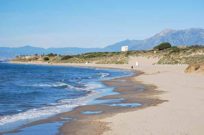 If you like walking then you could even walk all the way into Puerto Banus.
