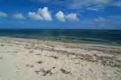 9 Beach/ 36 inland lots! US$995,000 Cayman Kai Beach Front Land.