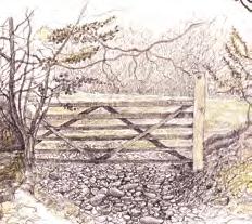 Pass in FRONT of the house to cross a wooden bridge 3 across the River Camel, turning immediately left up through the wood to a wooden stile.