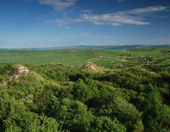 Košťál Krajina Transilvánskej kotliny v