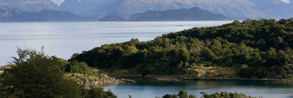 Our voyage takes us through the Strait of Magellan and Beagle Channel to explore one of the most stunning wilderness regions in the world - Southern Patagonia and Tierra del Fuego.