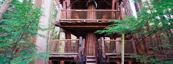 This treehouse has stairs and railings to keep people safe.