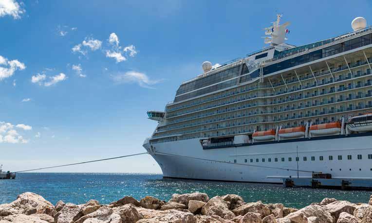 HOW DID THE CRUISE INDUSTRY PERFORM?