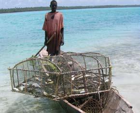 For more responsible Fishing and Tourism Tips for fishers, tourism operators and visitors Responsible fishing The importance of fisheries in Zanzibar cannot be overemphasised.