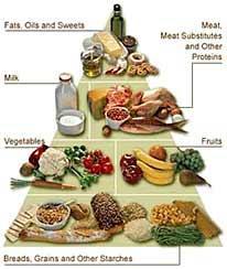 Slika 6.4.1.1 American Diabetes Asociation (ADA)-piramida zdrave prehrane Izvor: http://www.diabetes.rs/ishrana07.htm 6.4.2.