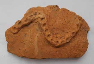 Rub lonca ukrašen je otiscima vrha prsta. 8. ULOMAK POSUDE rani neolitik, starčevačka kultura, 6. tisućljeće pr. Kr. Polubaše 1 duž. 15,6 cm; šir. 13,1 cm; deb.