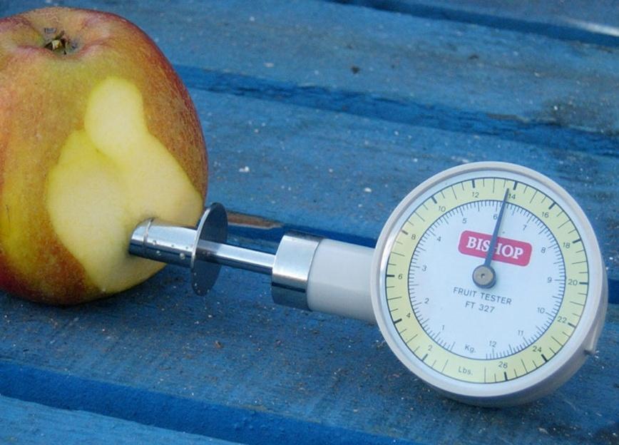 Slika Mjerenje tvrdoće ploda jabuke penetrometrom tipa Bishop (Jašić i sur.,.). Penetrometar je uređaj sa kojim se mjeri tvrdoća plodova.