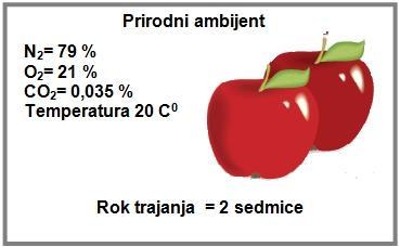 Slika 4 Čuvanje jabuka u prirodnom okruženju (Jašić i sur.,.).