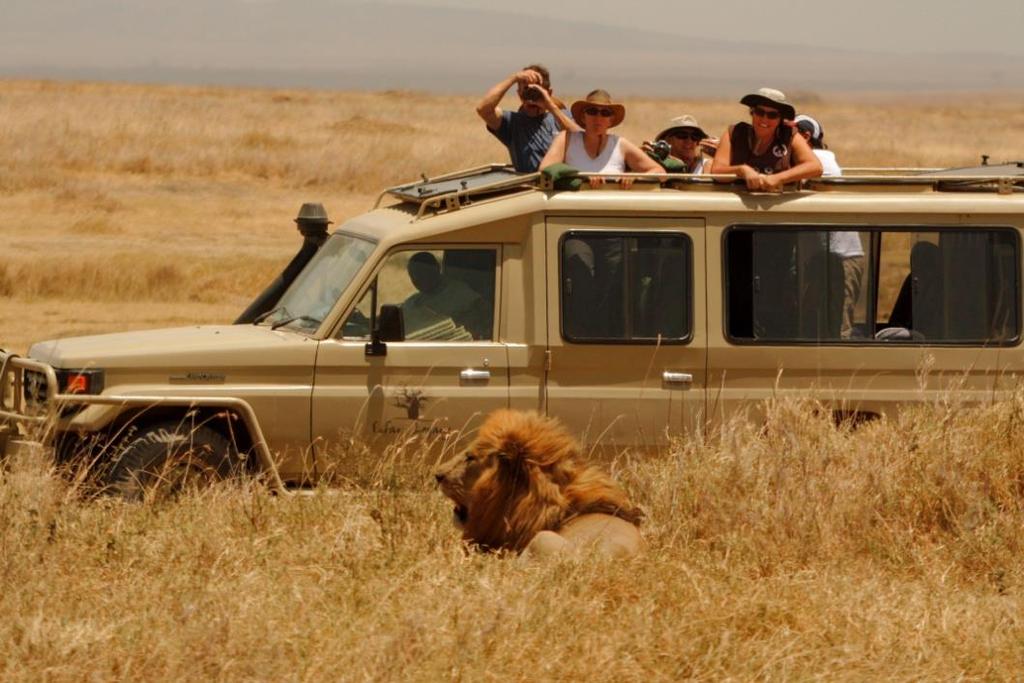DAY 8 SATURDAY MAY 23 SERENGETI NATIONAL PARK (CENTRAL SERENGETI) You explore this vast wildlife sanctuary with morning and afternoon games drives.