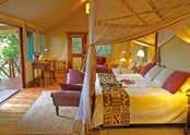 Lake Victoria Serena Resort & Spa DAYS 2-3: Fly to your tented campsite in Bwindi Impenetrable Forest National Park.