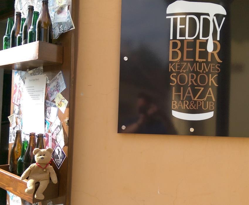 As usual Ted stowed away on both trips he was the star of the show at the pirates evening on board, and managed to find a bar in Szentendre called Teddy Beer, selling excellent local ales.