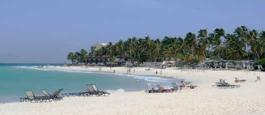 Aruba is a classic Caribbean, paradise island - palm trees, sunshine and beautiful beaches are major attractions for visitors. Aruba has some of the best beaches in the world.