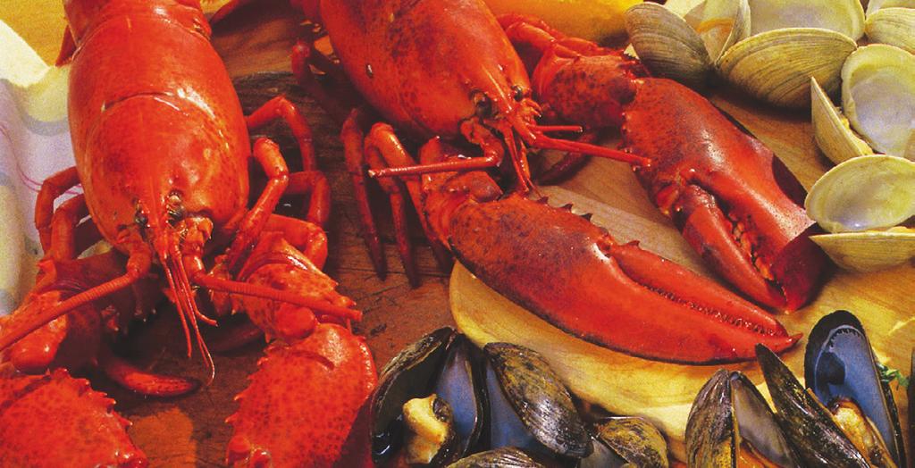 c o m Orlando s Original Lobster Feast