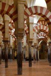What to do in the area Medina Azahara Archaeological Complex (6 km) Almodóvar Castle (22 km) Montoro, the Toledo of Andalusia (43 km) Montilla-Moriles wineries (46 km) Priego de Córdoba (101 km)