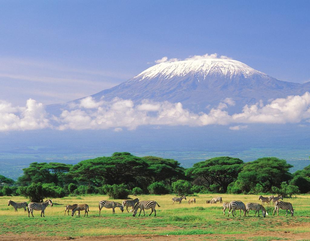 Exclusive Cal departure August 17-September 2, 2019 Classic Safari: Kenya & Tanzania 17 days for $9,896 total price from San Francisco ($9,095 air, land & safari inclusive plus $801 airline taxes and