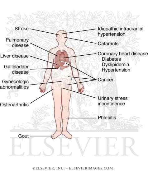 masti, a koliko mršave mase tijela (mišići, kosti, vezivno tkivo, unutrašnji organi i bitna ili stanična mast).