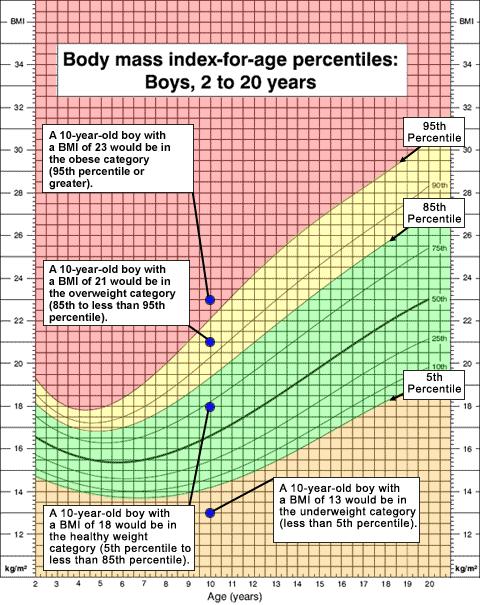 Slika 49 Percentilne krivulje za djevojčice i dječake, indeks tjelesne mase i dob (Internet) «Idealnu» masu je teško definirati, jer postoje individualne razlike.