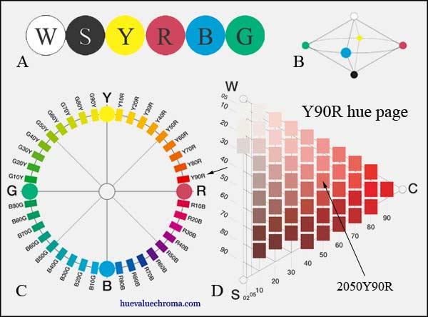 3.4.2. NCS prostor boja NCS (eng. Natural Color System) je prostor boja koji se temelji na šest osnovnih boja (crna, bijela, crvena, plava, zelena i žuta) koje se prema njemačkom psihologu E.