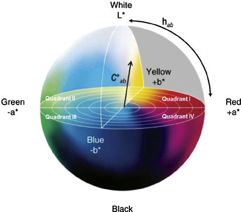 Slika 3.9. CIE Lab prostor boja Zbog toga se nameće korištenje i ostala dva psihološka atributa boje, a to su ton i zasićenje.