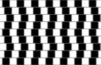 dijelom (u ovom slučaju sive boje). Još jedna takva varka je Heringova iluzija (Ewald Hering, 1861.) (Slika 6.20) [21]. Za obje iluzije zaslužan je naš mozak.