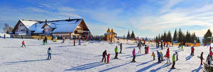 Najmodernije tehnički uređeno obiteljsko skijalište u Sloveniji (dvije 6-sedežnice, dvije 4-sedežnice, dvije 2-sedežnice, dvije vučnice), 70 ha uređenih skijaških terena, 18 km skijaških staza,