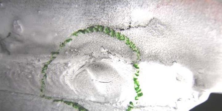 Slika 36. Pukotina u krateru 2.