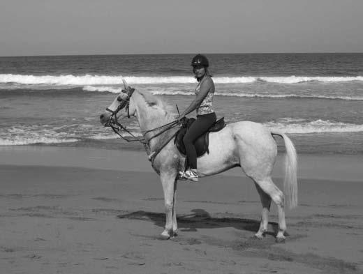 Kakšno naj bo pravilno učenje jahanja Če želimo postati dobri jahači, je prvi pogoj, da se naučimo spoštovati konja.