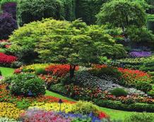 Vrt je živ organizem, sem ne sodijo le rastline, pomembno vlogo ima človek, ki ustvarja vrt, ga neguje in dopolnjuje.