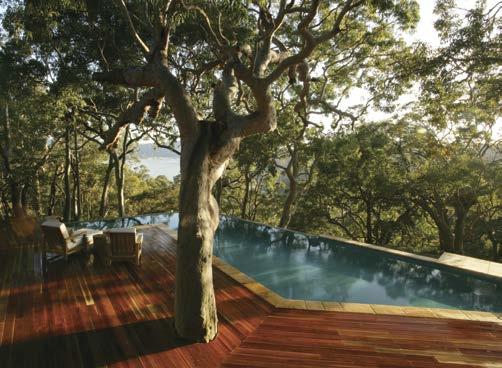 Guests arrive at the top of the steep winding driveway and discover a forest of ancient angophora eucalypts leading to the main guesthouse.