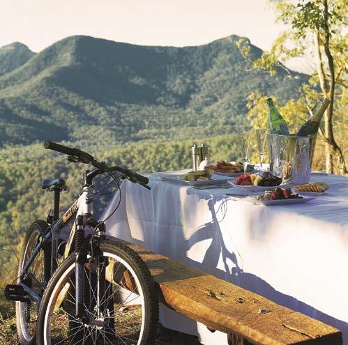 Offering a unique blend of luxury accommodation and fine dining, Spicers Peak Lodge is an intimate destination for those who appreciate the finer things in life.