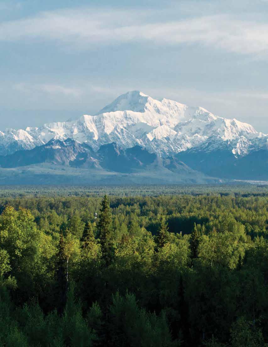 And the Great One itself Denali, the mountain standing tall over the rest of the snow-covered Alaska Range. With a Royal Caribbean Cruisetour, you enjoy both.