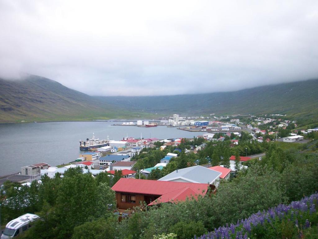 Teel Neskaupsstaðuri poole, all 1062 elanikuga Eskifjörðuri linnake. Seal kus lõpeb tee. Neskaupsstaðurisse on Eskifjörðurist üle 705 meetri kõrgusele tõusva Oddsskarði kuru 24 kilomeetrit. 1977.