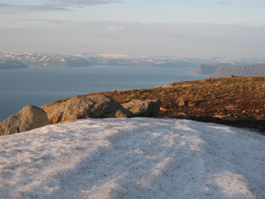 Bolarfjalli tipust ei sula lumi ka juulikuise päikese käes. Läänefjordidest leiab Islandi kõige vanima, 16 miljonit aastat vana pinnase.