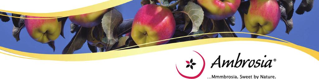 Meet some more of our sponsors About Ambrosia In the early 90s, a unique apple was discovered in Wilfrid and Sally Mennells orchard in the sun-drenched Similkameen Valley of British Columbia in
