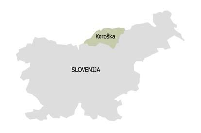 59 6 MEŽIŠKA DOLINA Slovenija je razdeljena na dvanajst regij. Mežiška dolina je del Koroške regije, ki leži na severnem delu Slovenije.