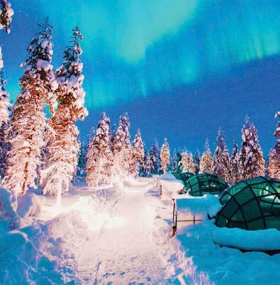 THE NORTHERN LIGHTS OF FINLAND 8 DAYS 11 MEALS FROM $ 3999 NEW TOUR CULTURAL EXPERIENCES Lead your own dog sled team. Overnight in a glass igloo amid the Lappish wilderness.