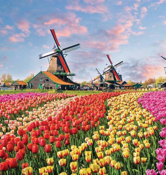 SPRINGTIME TULIP RIVER CRUISE 9 DAYS 20 MEALS FROM $ 2999 CULTURAL EXPERIENCES Experience Kinderdijk, home to Holland s largest collection of windmills.