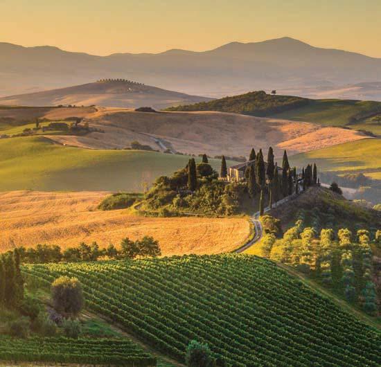 SPOTLIGHT ON TUSCANY 9 DAYS 10 MEALS FROM $ 1349 CULTURAL EXPERIENCES Visit the Academy Gallery and Michelangelo s famous statue of David.