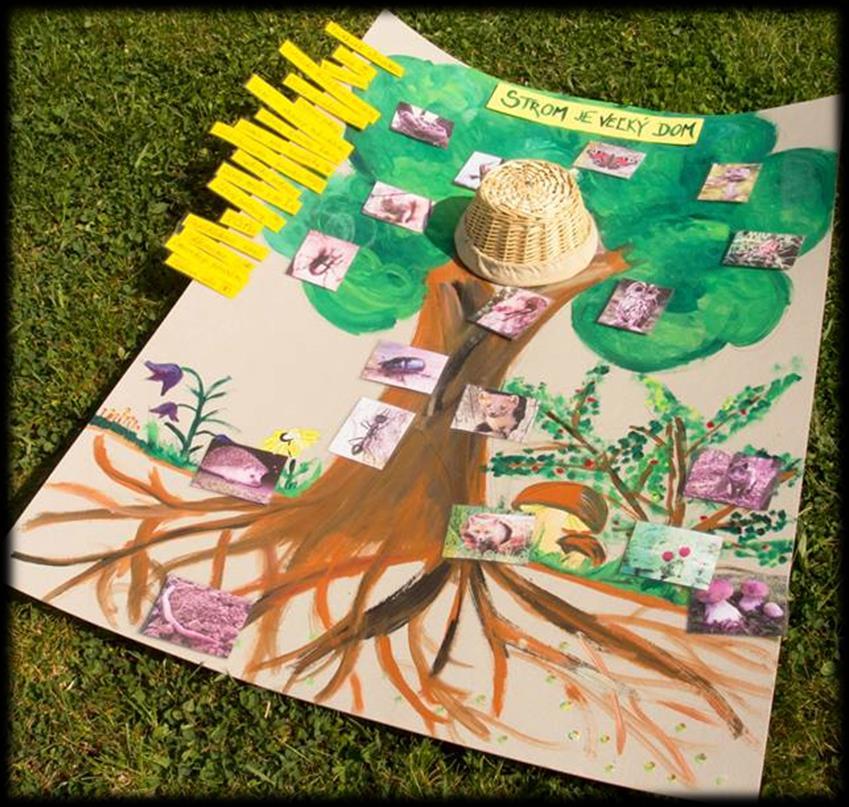 Aktivita Zdravý strom je i veľký dom, priblíži žiakom prostredníctvom interaktívneho plagátu funkcie stromu, jeho fungovanie a priestor, ktorý