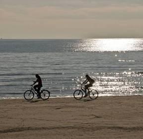 bicycle tour through the pleasant streets and landscapes of The Hague or the lovely beaches of