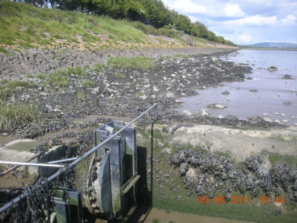 Photo 1: Embankment and back drain outfalls close to Shannon Airport.