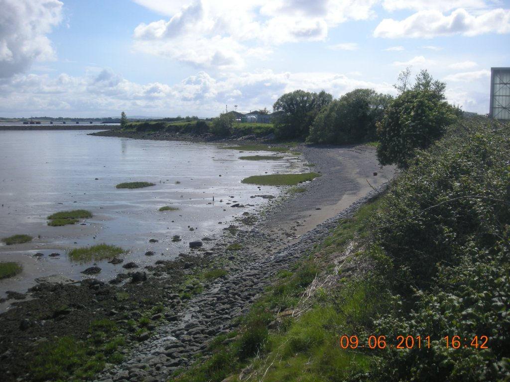 Photo 6: Major Shannon tidal embankment adjacent to the airport road towards the eastern end of the