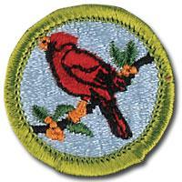 BIRD STUDY MERIT BADGE Bird Study is an elective merit badge for Scouts to earn.