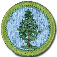 Forestry Merit Badge Added to Camp Buffalo in 2015, Forestry is an elective merit badge.