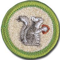 MAMMAL STUDY MERIT BADGE Mammal Study is an elective merit badge for Scouts to earn.