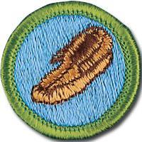 LEATHERWORK MERIT BADGE Leatherwork is an elective merit badge for Scouts to earn. Scouts will learn about leather manufacturing and care as well as get to make projects of their own.