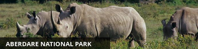 P a g e 5 Located northeast of Nairobi, Kenya, the Aberdare National Park was created to protect the