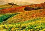 extensive vineyards. In his car, Red Travel Tour Director leads the tour through a succession of enchanting towns and villages, whose charming appeal encapsulates the very soul of the Val d Orcia.