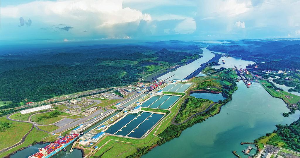 Over 160 different types of mammals native to the region rely on the Panama Canal Watershed as their source of drinking water and survival.